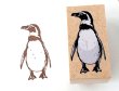 画像3: ゴム印（福山市立動物園のフンボルトペンギン） (3)