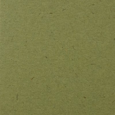 画像1: 名刺用紙　OKミューズカイゼル170kg  オリーブ  50枚