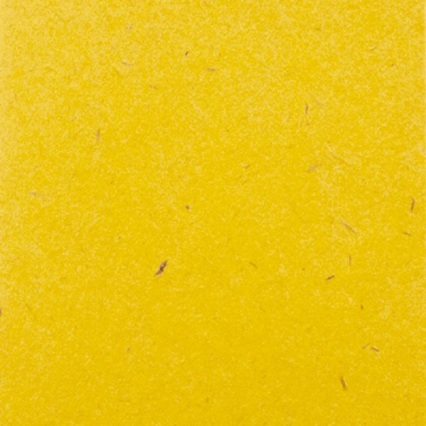 画像2: 名刺用紙　OKミューズカイゼル170kg カラシ  50枚 (2)