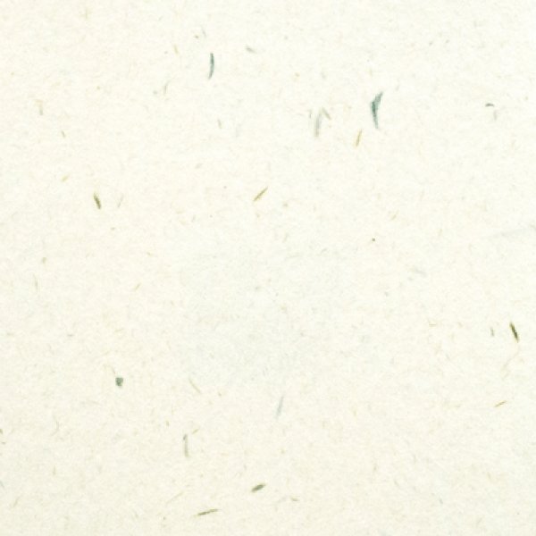 画像2: 名刺用紙 OKミューズカイゼル170kg  白 50枚 (2)