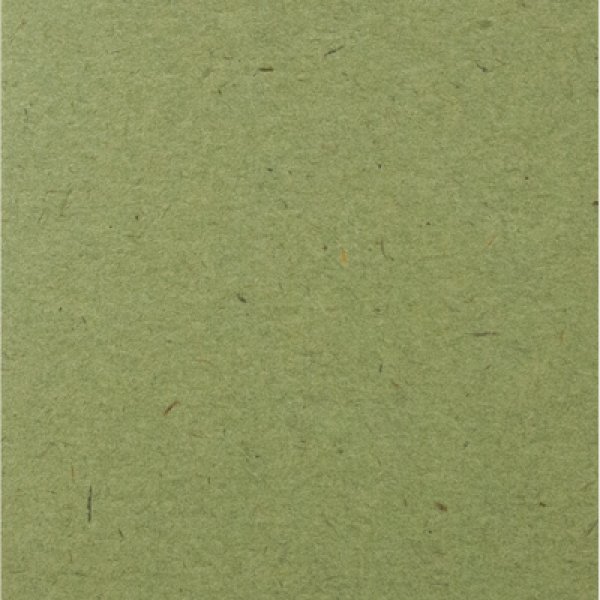 画像2: 名刺用紙　OKミューズカイゼル170kg  オリーブ  50枚 (2)