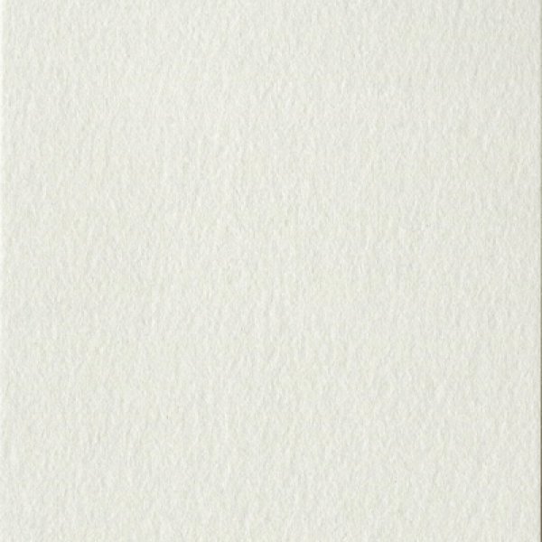 画像2: 名刺用紙　ニューラグリン189kg シルバー  50枚 (2)