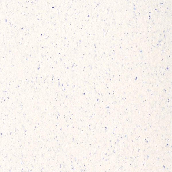 きな粉スカッシュ本田ガオロード　色紙 楽天市場】色紙 画仙紙 27.2×24.2cm (100円ショップ 100円均一