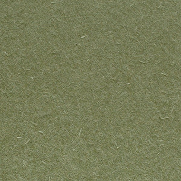 画像2: 名刺用紙　新バフン紙N180kg みどり  50枚 (2)