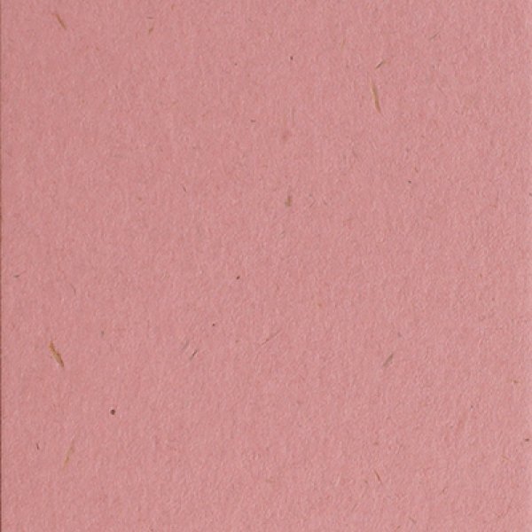 画像2: 名刺用紙 OKミューズカイゼル170kg  バラ 50枚 (2)